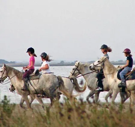 Reves D'o En Camargue, Clim Reversible, Parc Naturel