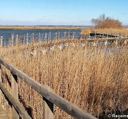 Reves D'o En Camargue, Clim Reversible, Parc Naturel * בובר