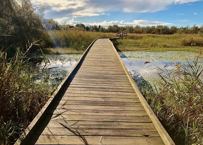 Reves D'o En Camargue, Clim Reversible, Parc Naturel * Vauvert