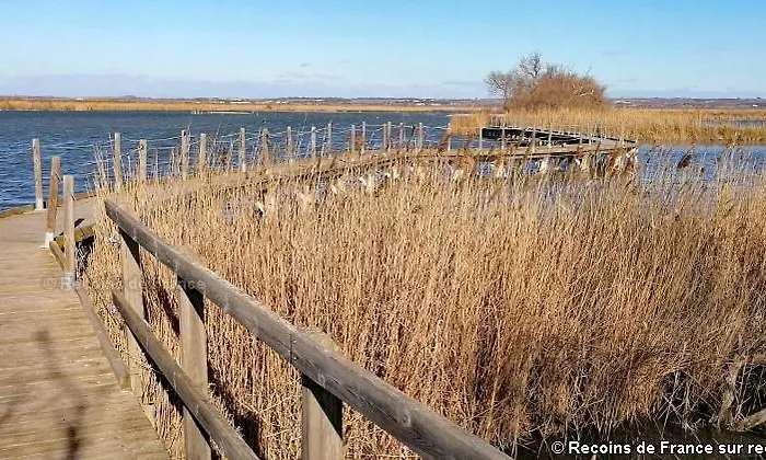 Reves D'o En Camargue, Clim Reversible, Parc Naturel * Vauvert
